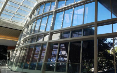 Why Impact Windows Are a Smart Investment for Florida Homes